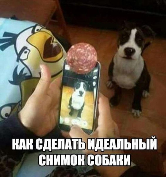 Мем №1523729