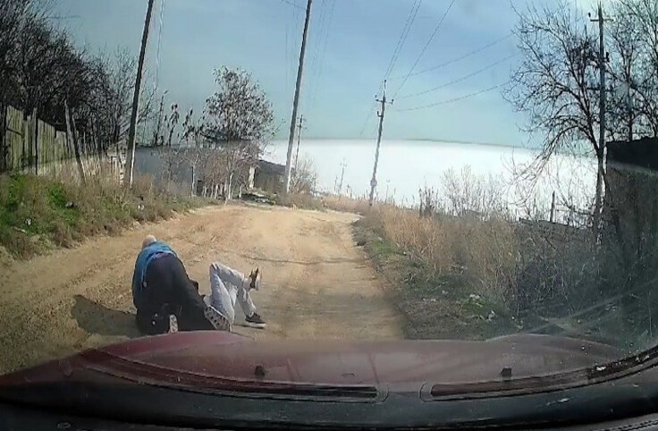 
        В Астрахани мужчина сбил с ног и принялся душить женщину, кормившую бездомных собак    