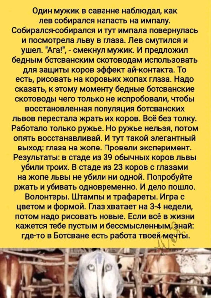 Мем №1526301