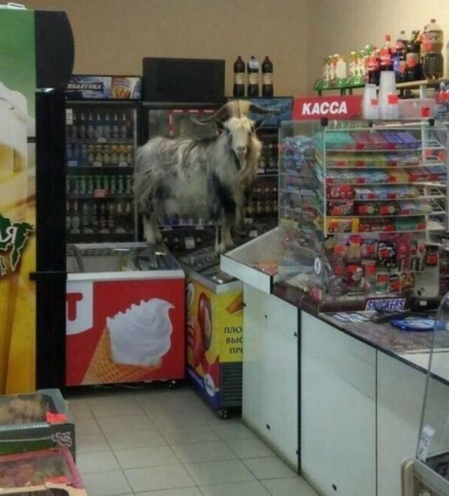Подборка прикольных фото №3687
