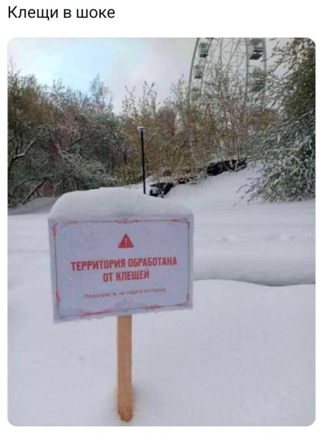 Подборка прикольных фото №3688