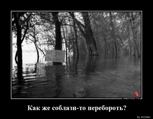
			Демотиваторы №3645 (15 фото)