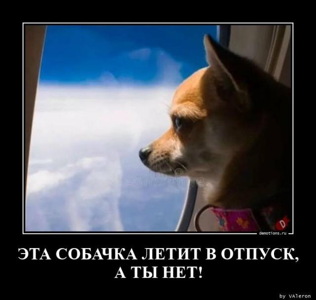 
			Демотиваторы №3652 (18 фото)