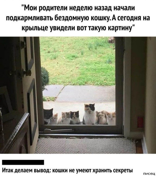Мем №1524078