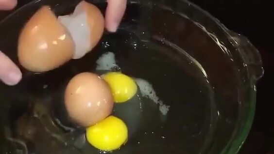 
        Гигантское куриное яйцо    