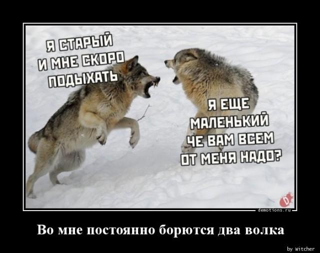 
			Демотиваторы №3664 (15 фото)