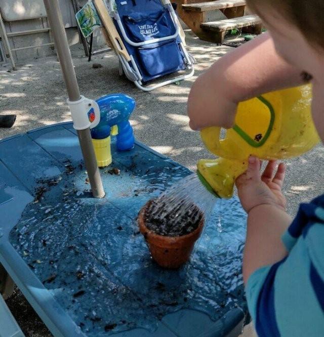 Цветы жизни