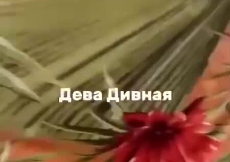 
        «Чё ты на меня смотришь?»: мужик зашёл в автобус и заставил приезжих заплатить за проезд    
