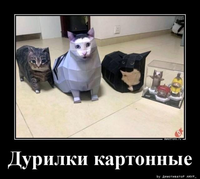
			Демотиваторы №3656 (15 фото)