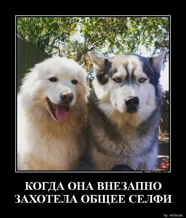 
			Демотиваторы №3655 (18 фото)