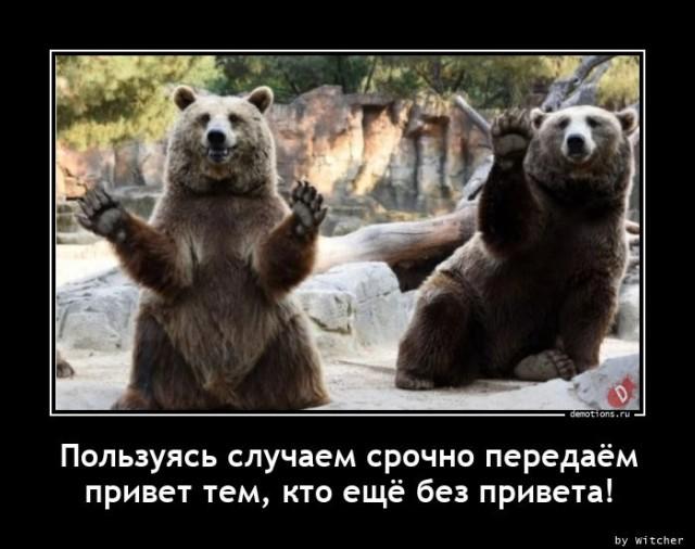 
			Демотиваторы №3655 (18 фото)