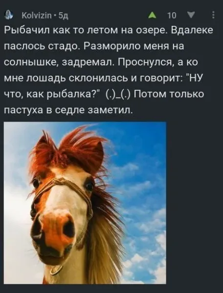 Мем №1531482