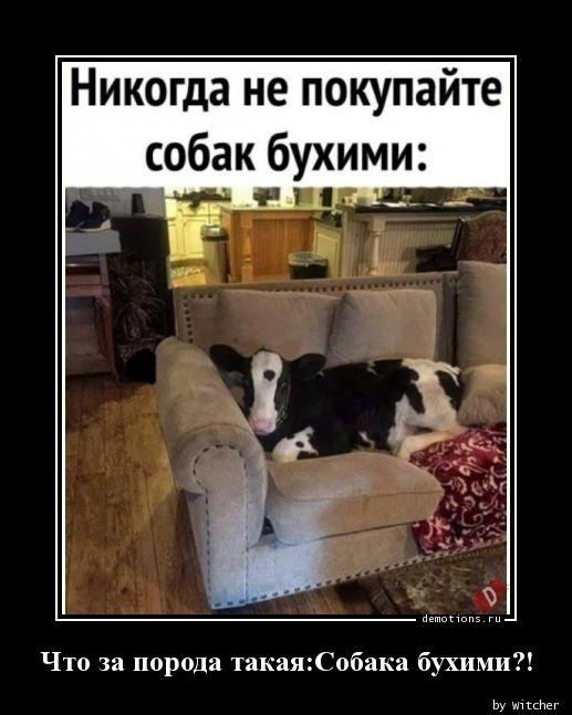 
			Демотиваторы №3672 (18 фото)