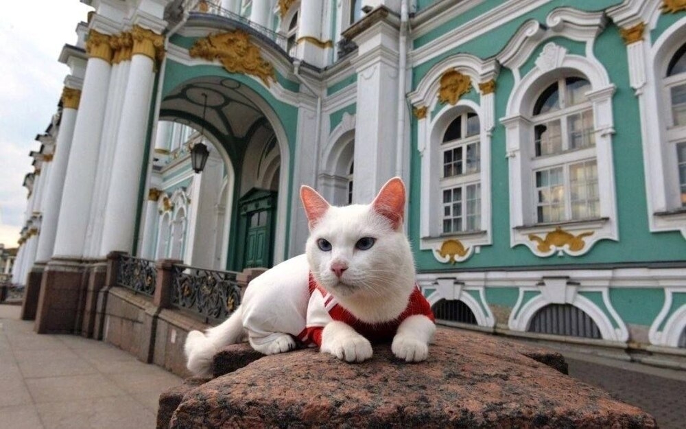 
        Эрмитажные коты получили неожиданное наследство    