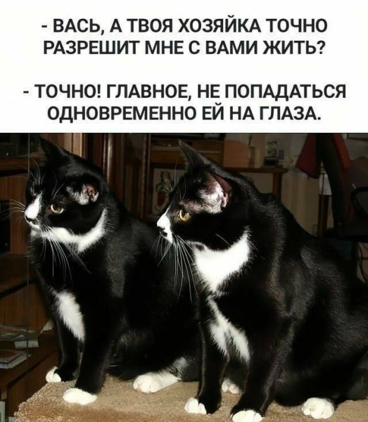Мем №1529587