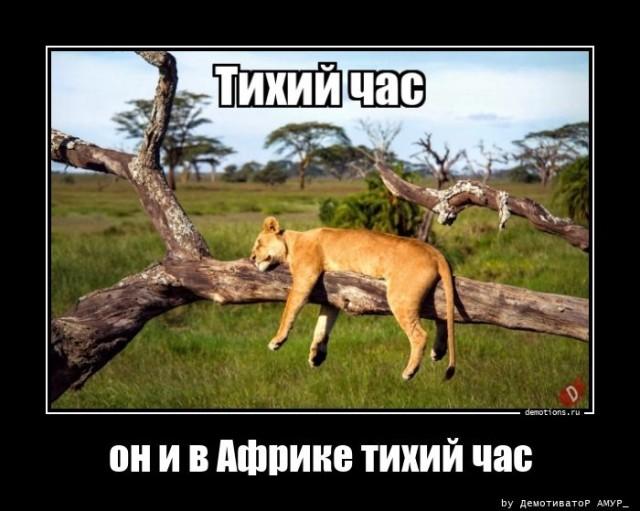 
			Демотиваторы №3659 (18 фото)
