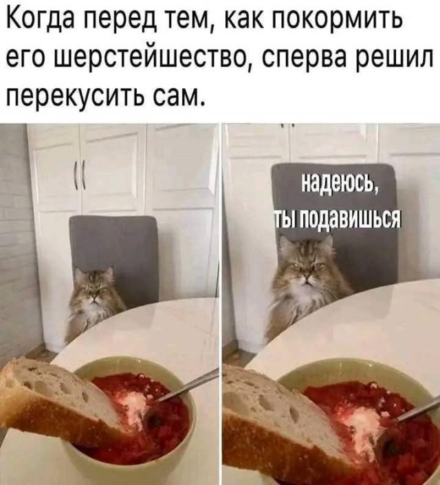 Подборка прикольных фото №3720
