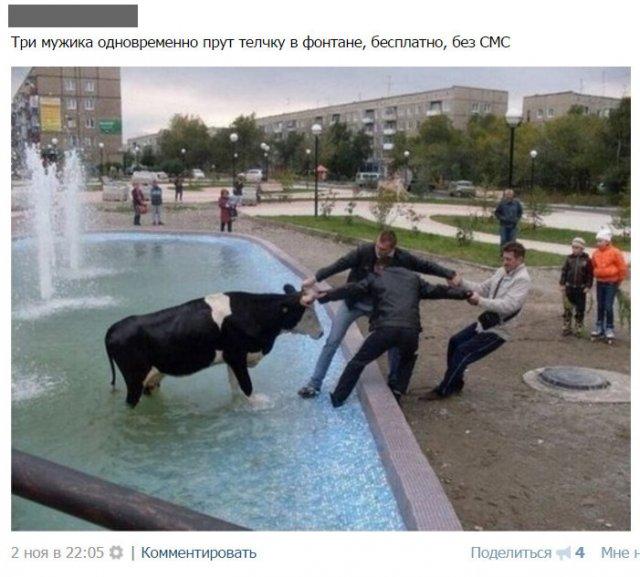 Смешные комментарии