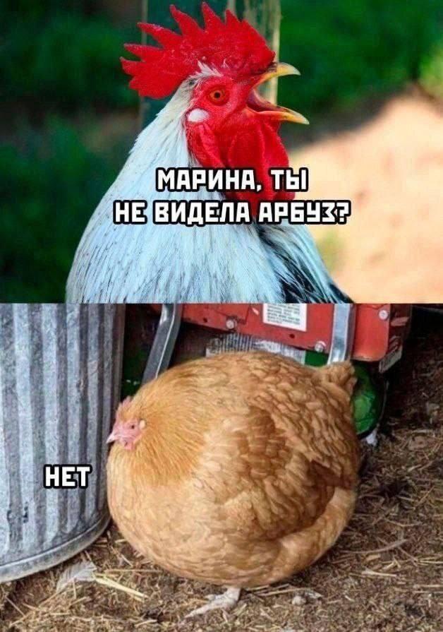 Подборка прикольных фото №3722