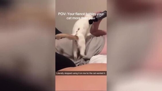
        Девушки сняли на видео доказательства, что кошка запросто может увести мужчину    