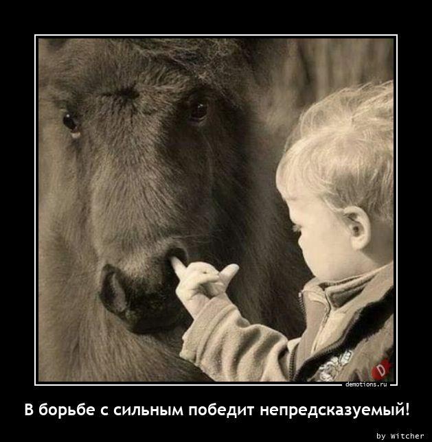 
			Демотиваторы №3667 (15 фото)