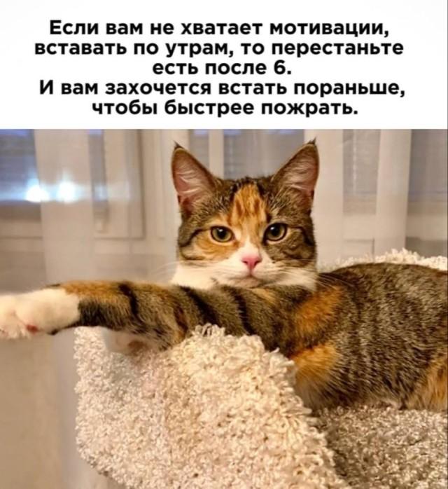 Подборка прикольных фото №3713