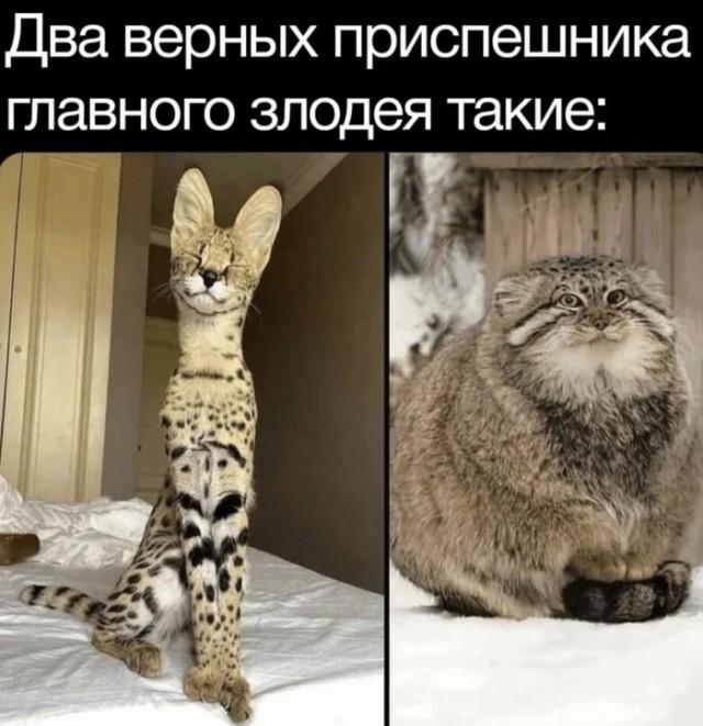 Подборка прикольных фото №3723