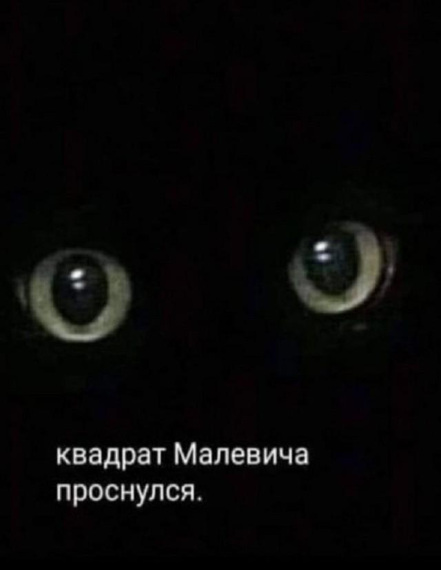 Подборка прикольных фото №3710