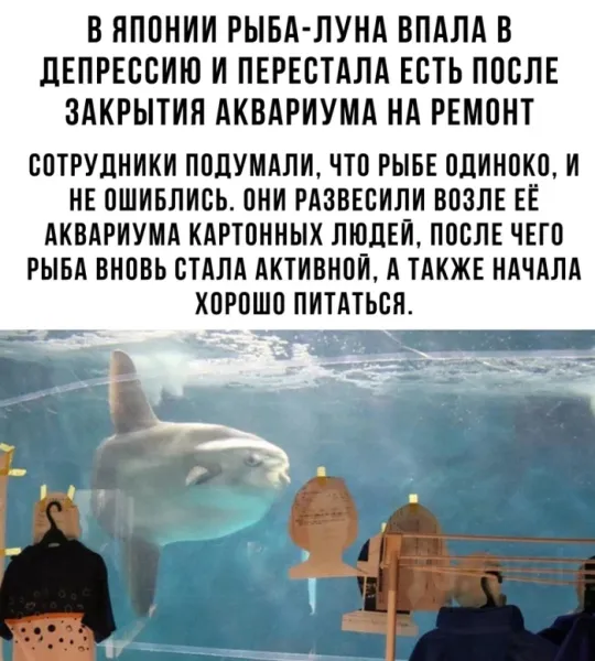 Мем №1529598