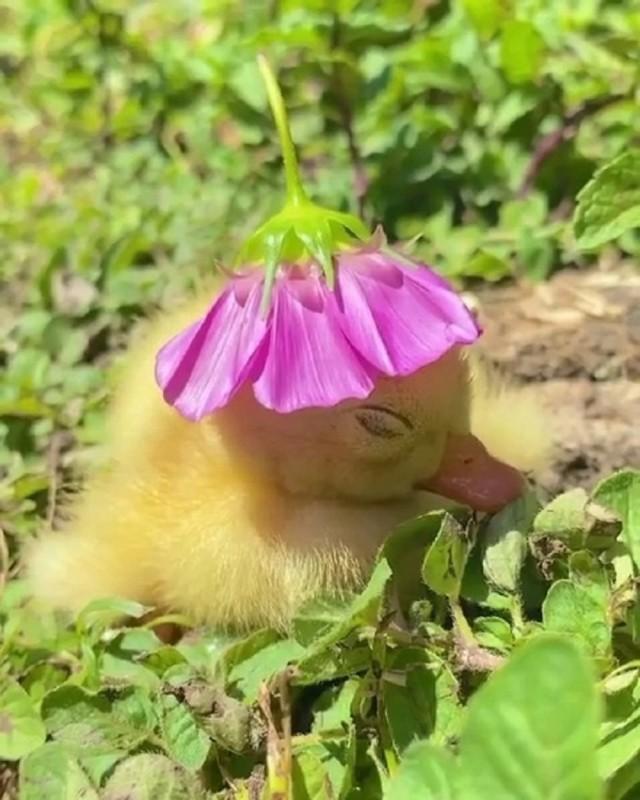 Подборка прикольных фото №3713