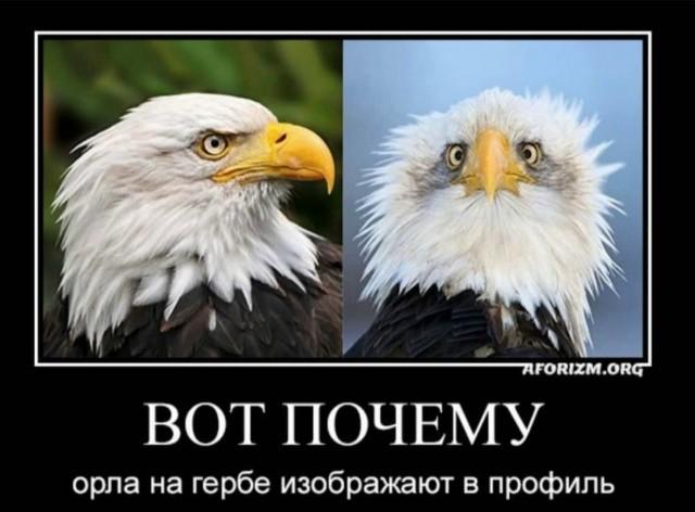 
			Демотиваторы №3671 (15 фото)