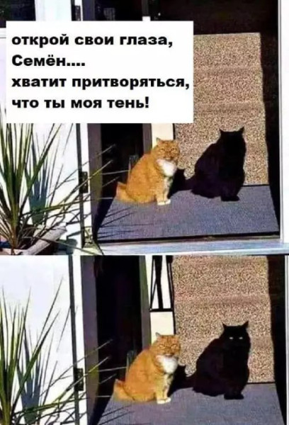 Мем №1530674
