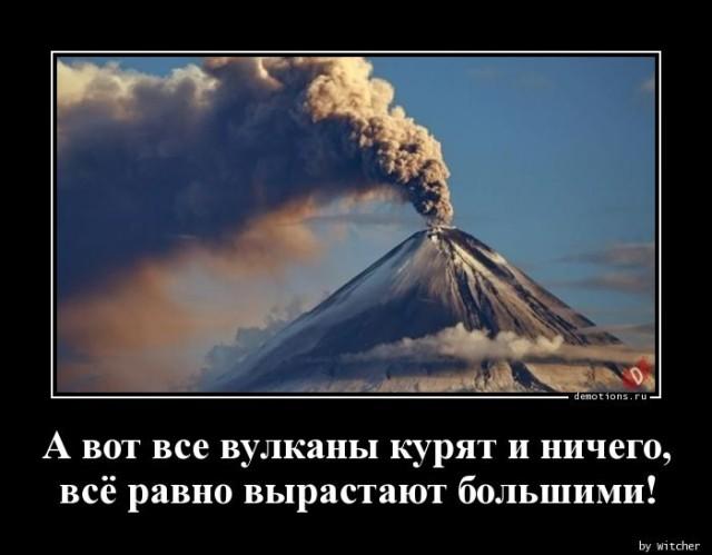 
			Демотиваторы №3672 (18 фото)