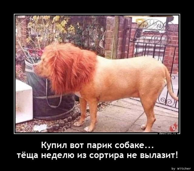 
			Демотиваторы №3662 (15 фото)
