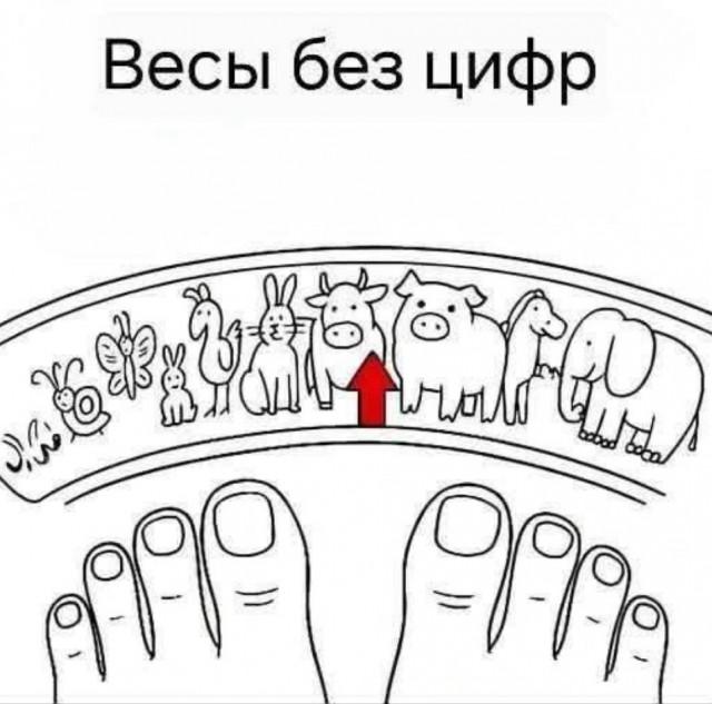 Подборка прикольных фото №3710