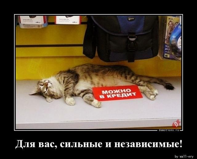 
			Демотиваторы №3660 (15 фото)