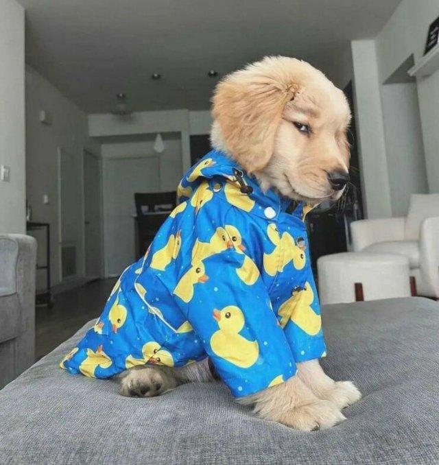 Подборка прикольных фото №3720