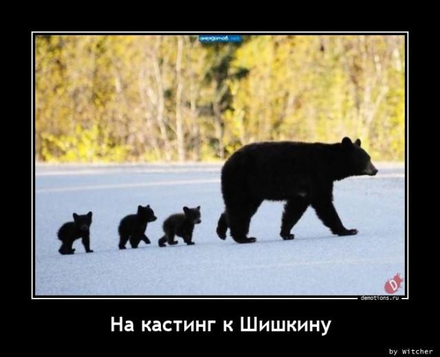 
			Демотиваторы №3671 (15 фото)