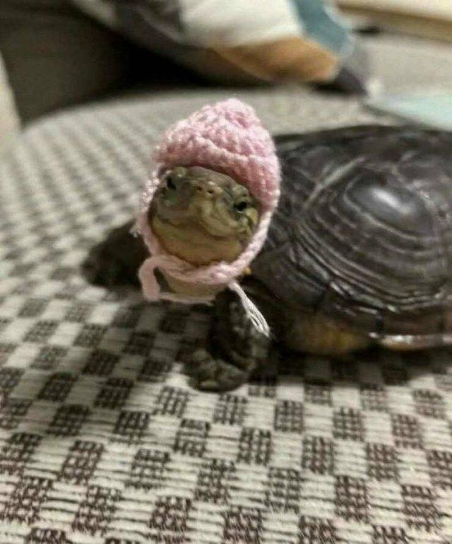 Подборка прикольных фото №3712