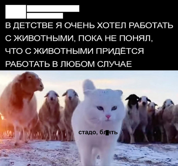Мем №1528113