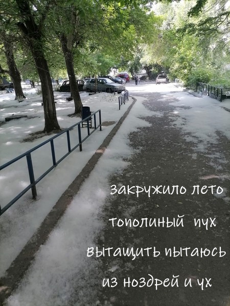 Мем №1528793