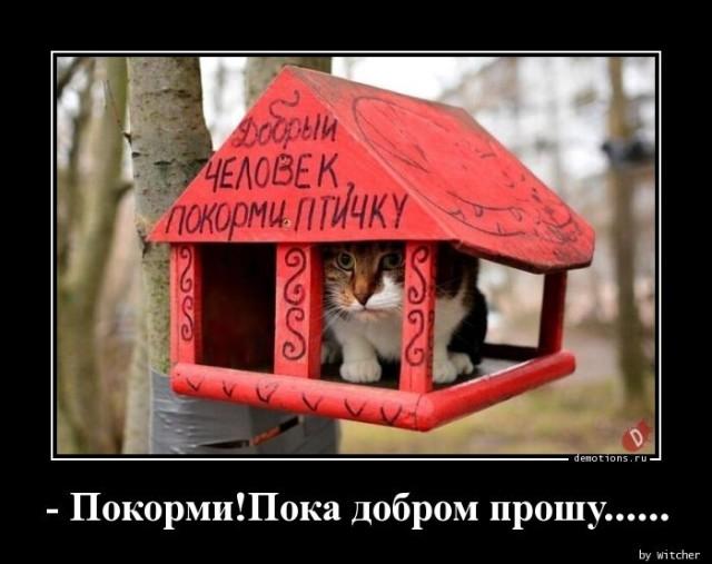 
			Демотиваторы №3673 (18 фото)