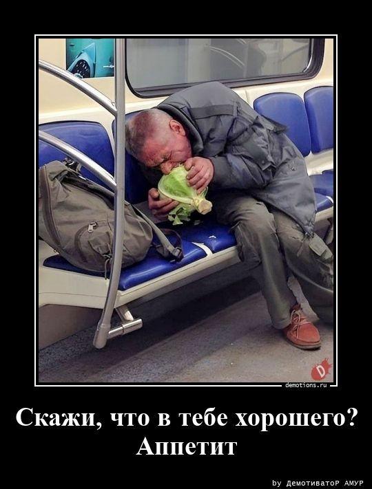 
			Демотиваторы №3661 (15 фото)