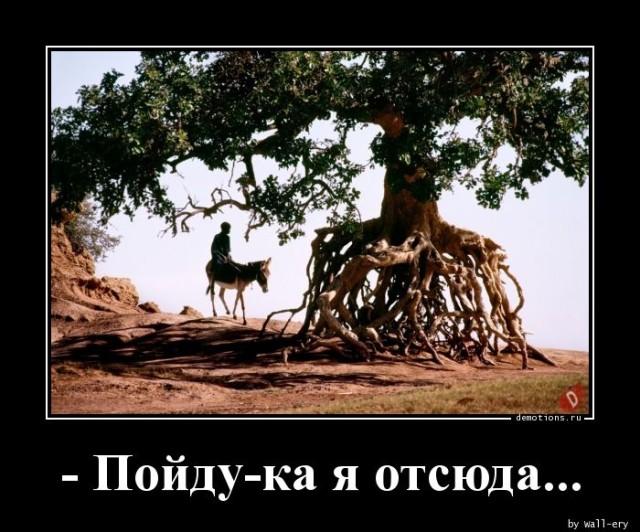 
			Демотиваторы №3673 (18 фото)