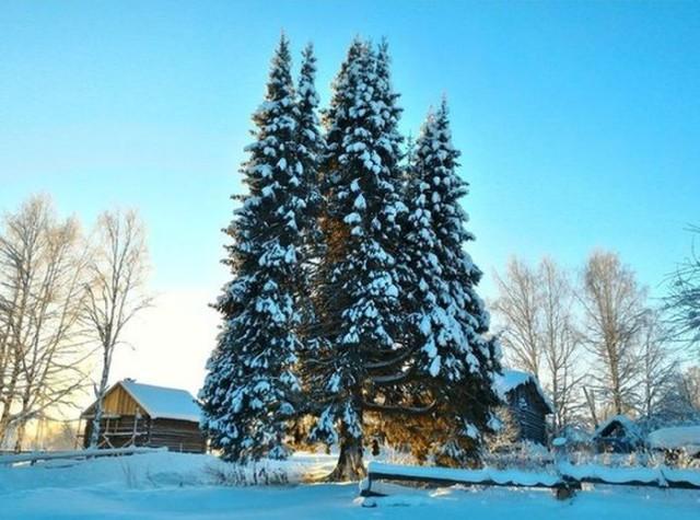 Подборка прикольных фото №3719