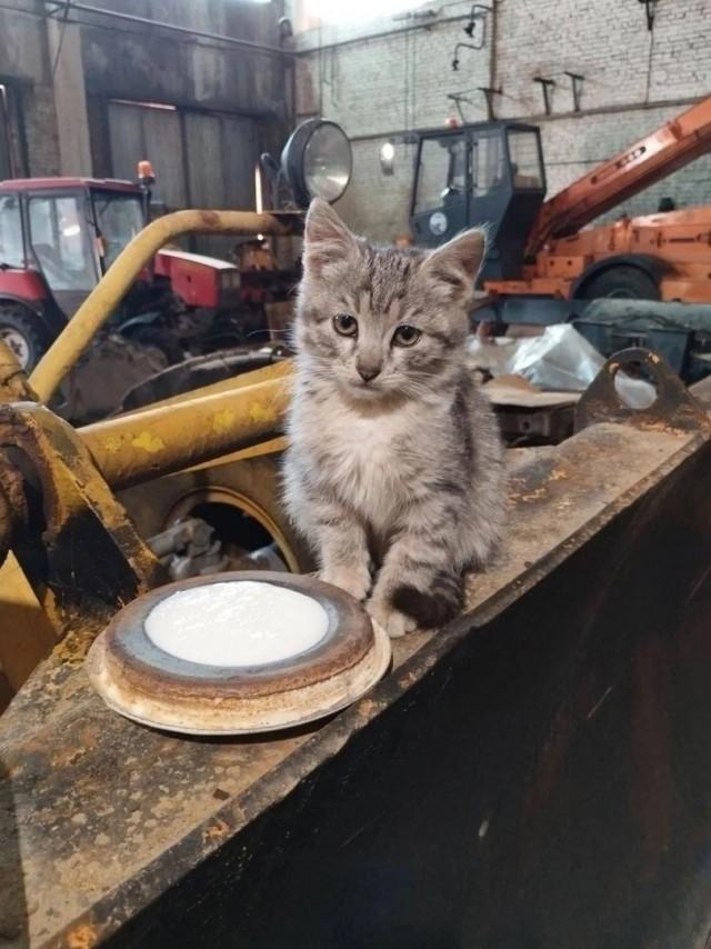 Подборка прикольных фото №3710