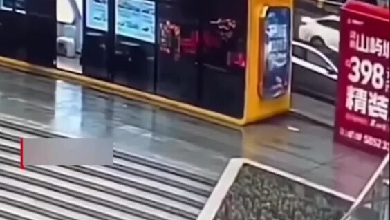 
        В Японии давно потерявшаяся собака нашла хозяйку по запаху в центре мегаполиса    