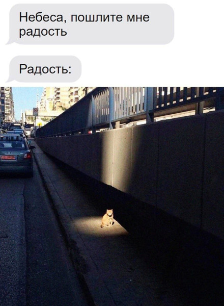Мем №1527642