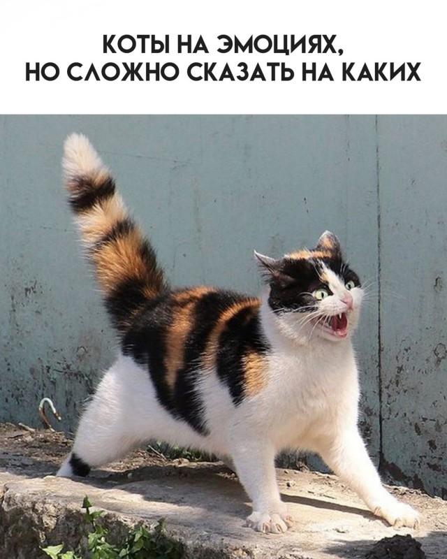 Подборка прикольных фото №3717