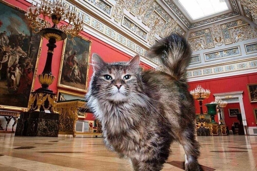 
        Эрмитажные коты получили неожиданное наследство    